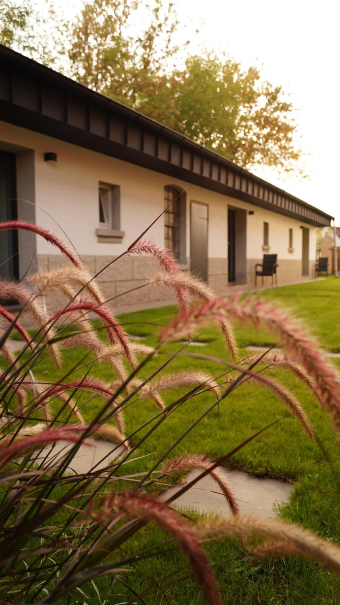 Remise Brasch - Zwischen Bahnhof Und Elbe Διαμέρισμα Wittenberge Εξωτερικό φωτογραφία